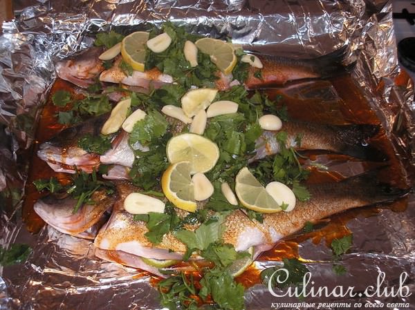 рыбка от Рафаэля