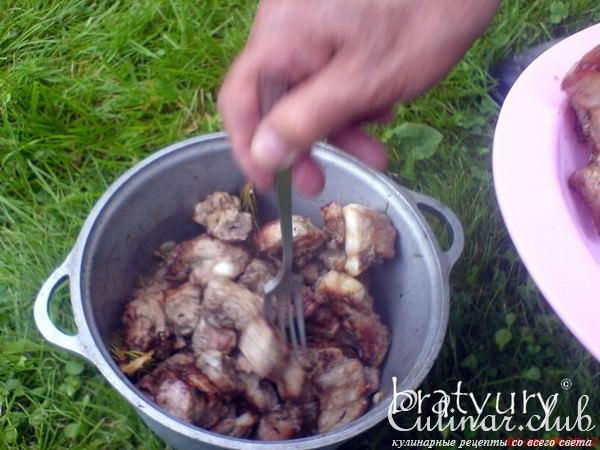Шашлык дачный с еловыми ветками