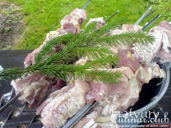 Шашлык дачный с еловыми ветками